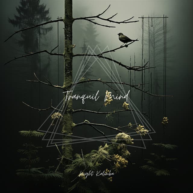 Tranquil Mind: Relaxing Tunes for Meditation - Night Kalimba