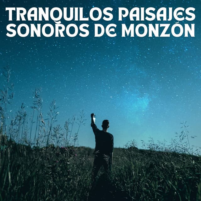 Tranquilos Paisajes Sonoros De Monzón - Academia de sonido de lluvia curativa