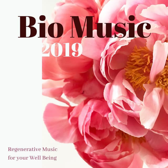 Bio Music 2019: Regenerative Music for your Well Being - Spa Music Collective