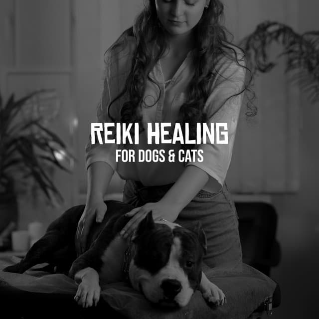 Pets Music
