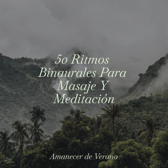 50 Ritmos Binaurales Para Masaje Y Meditación - Deep Sleep Relaxation