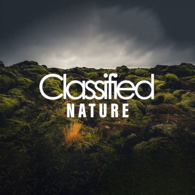 Classified Nature - Meditation Music