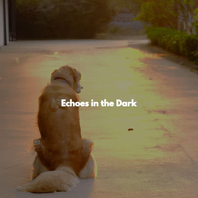 Echoes in the Dark - Paris Coffee Shop