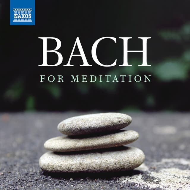 Bach For Meditation - Johann Sebastian Bach