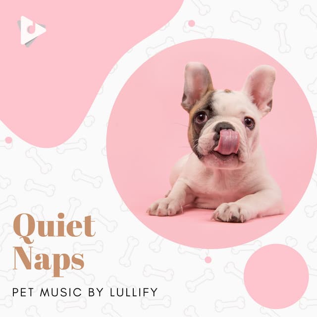Quiet Naps - Pet Music by Lullify