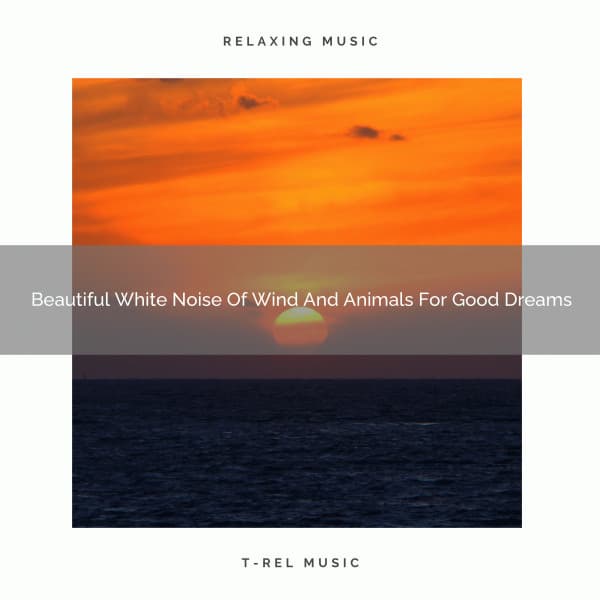 Beautiful White Noise Of Wind And Animals For Good Dreams - Noise Makers
