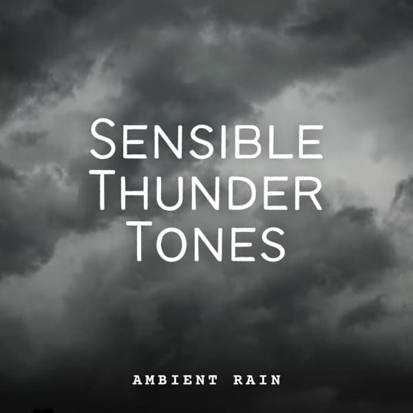 Ambient Rain: Sensible Thunder Tones - Rain Hard