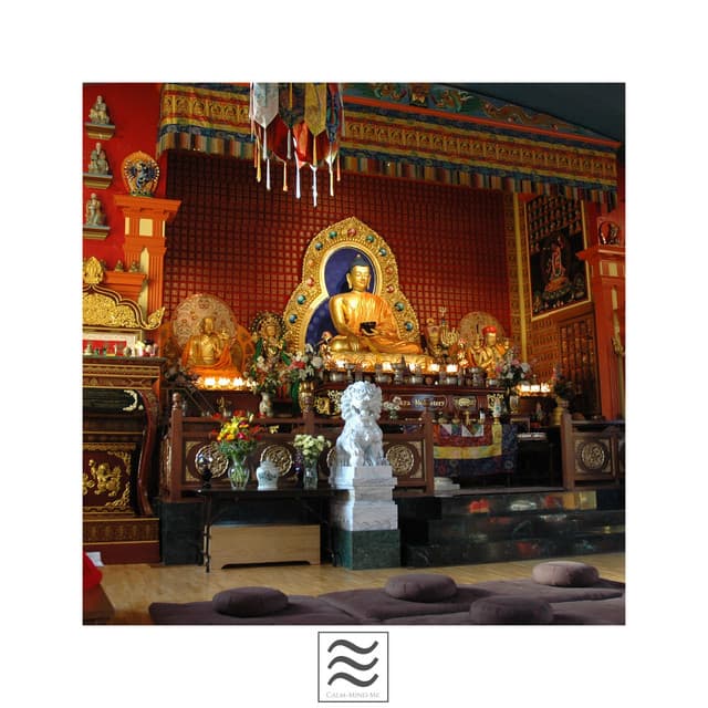 Still Shushers for Better Sleeping - Sleepy Parents