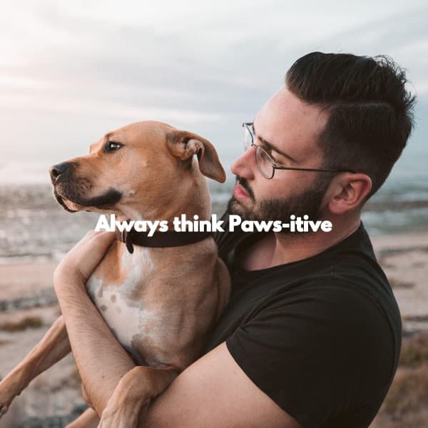 Always think Paws-itive - Easy Jazz Listening
