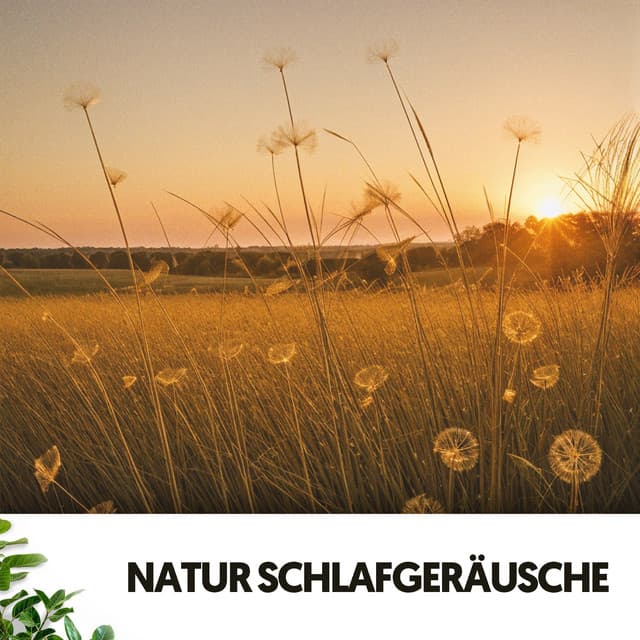 Sons de la Nature : Sérénade Crépusculaire - Dog Relaxation