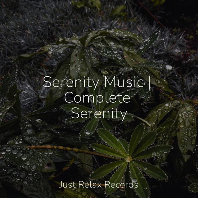 Serenity Music | Complete Serenity - Nature Sounds Nature Music