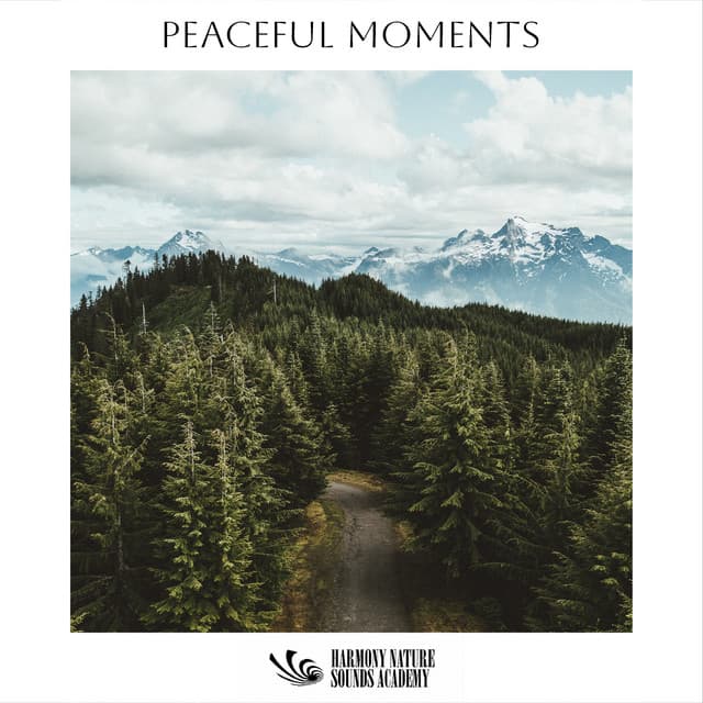 Peaceful Moments - Harmony Nature Sounds Academy