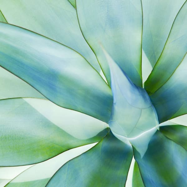 Bgm for Sweet Selects - Vintage Cafe Background Music