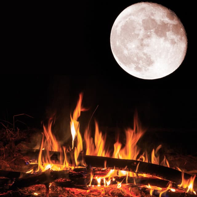 Tranquil Pyres: Meditations by the Fire - Pinetree Way