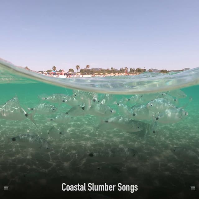 !!!!" Coastal Slumber Songs "!!!! - Ocean Waves