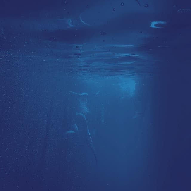 Nature's Flow: Chill Harmonies of Water's Dance - Nature Soundscape